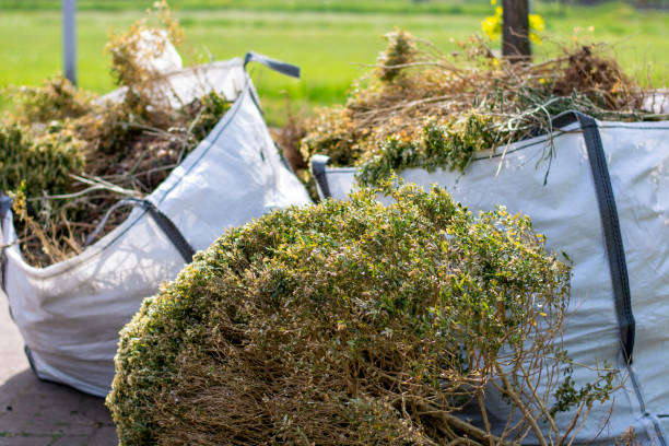 Best Attic Cleanout Services  in Lake Cassidy, WA