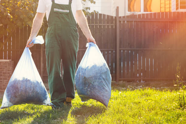 Best Furniture Removal Near Me  in Lake Cassidy, WA